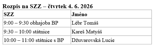szz_oprava_2.png