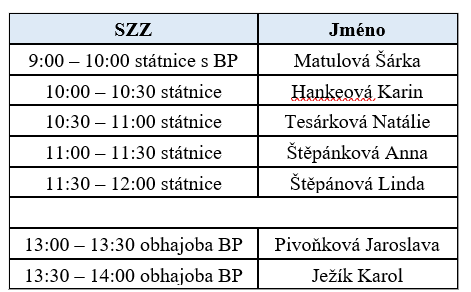 szz_oprava_3.png