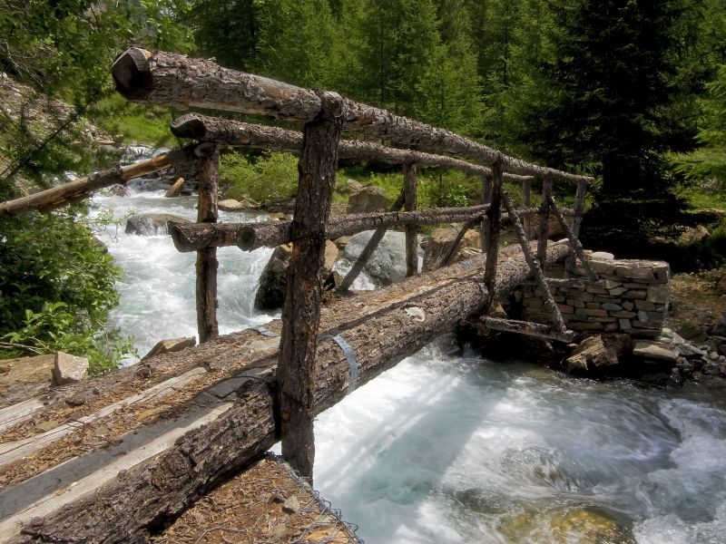 Nový bakalářský obor