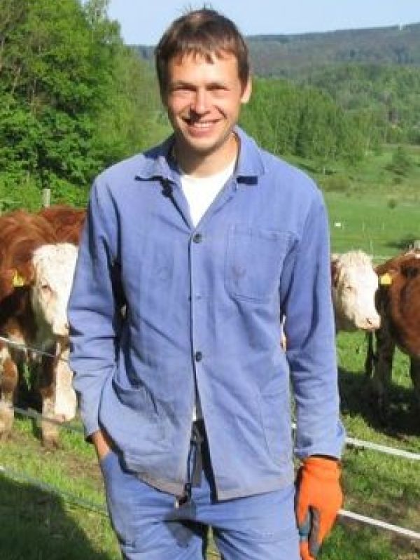 na pastvině s dobytkem během terénní práce!